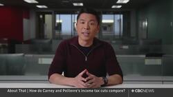 The Breakdown | Comparing tax cut promises + Ibogaine treatment News Clip