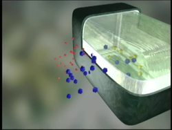 Understanding Selective Permeability Instructional Video