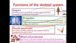 BTEC Sport Level 3 Unit 1 A2- Anatomy and Physiology Functions of the Skeleton Instructional Video