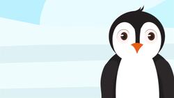 I WONDER - Who Looks After Penguins Eggs? Me Pregunto - Quién Cuida Los Huevos De Los Pingüinos? Instructional Video