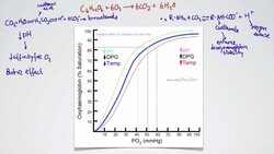 061 The Bohr Effect Instructional Video