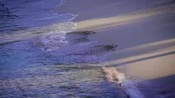 Beautiful tropical beach and sea background with copy space Stock Footage