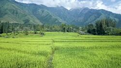 Stunning Drone Footage Captures Kashmir's Pristine Landscapes Stock Footage