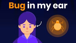 Bug in my ear: What should I do? (Cockroach Emergency) Instructional Video