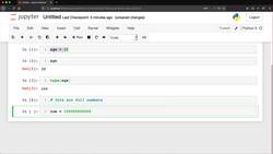 Python for Everybody: The Ultimate Python 3 Bootcamp - Numbers Instructional Video