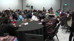 Newly crowned Calgary Stampede First Nation Princess plans to use royal platform to empower women News Clip