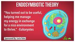 Babies With Three Parents Instructional Video