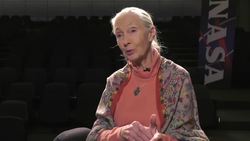 NASA Partners with Jane Goodall Institute to Protect Chimpanzees Instructional Video