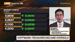 Thornburg IM on Fixed Income Strategy News Clip