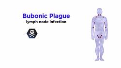 Interpretations of Plagues in the Middle Ages Instructional Video