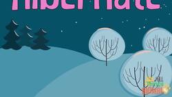 Discovering Black Bears: A Closer Look at North America's Fascinating Creatures Instructional Video