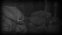 World War II: Black American History Instructional Video