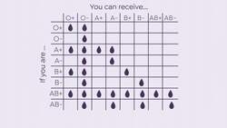 The Drug Shortage Putting Newborns at Risk Instructional Video
