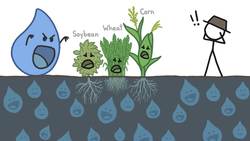 The Secret Global Sewer System Instructional Video