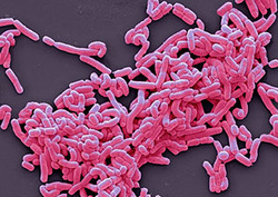 Antibiotic resistance Instructional Video