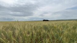 CLEAN : Ukrainian soldiers fire new Caesar howitzer at Russian positions News Clip