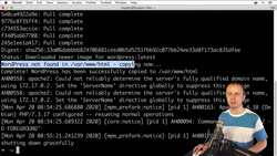 The Complete Practical Docker Guide - Starting WordPress Container Instructional Video