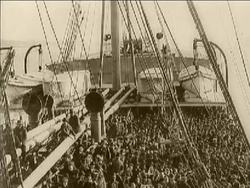 Understanding the Role of Fungus-like Protists Instructional Video