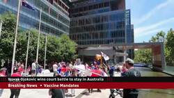 Novak Djokovic wins court battle to stay in Australia News Clip