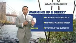 Sunny Monday in Brooklyn; summer-feels return midweek Instructional Video