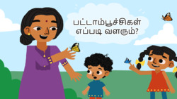 Lifecycycle of a butterfly - Tamil Instructional Video