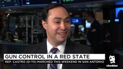 Rep. Joaquin Castro (D-TX) on Second Amendment Rights News Clip
