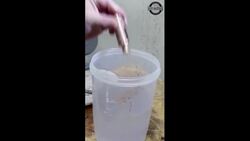 Crafting a Root Vase from Wood - ASMR Instructional Video