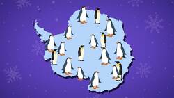I WONDER - Do Penguins Live In Antarctica? Instructional Video
