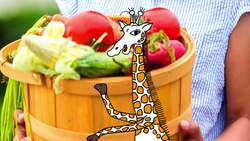 The Importance of Honesty Instructional Video