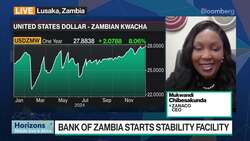 PE-Backed Zanaco Focusing on Funding Solar Projects, CEO Says News Clip
