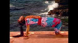 CAT STRETCHING Instructional Video