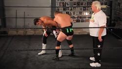 How to Do a Reverse Hammerlock Wrestling Move Instructional Video