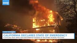 Newsy's Latest Headlines News Clip