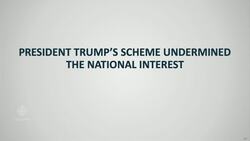 Trump undermined integrity of elections: Schiff Democratic Congressman News Clip