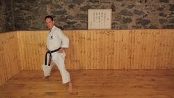 How to Do a Reverse Punch in Karate Instructional Video