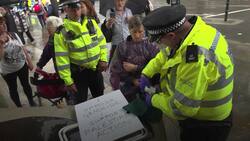 Dozens of Palestine Action protesters arrested News Clip