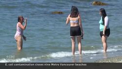 E. coli contamination closes 9 Vancouver beaches for swimming News Clip