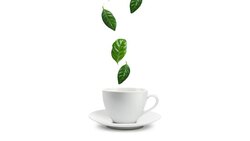 cup of tea Stock Footage