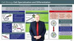 Specialization of Cells in Animals and Plants Instructional Video