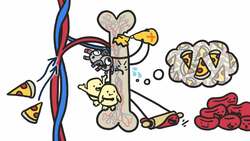 Which Is Worse? Instructional Video