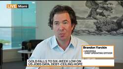 How Universa COO Yarckin Is Hedging Risks in the Market News Clip