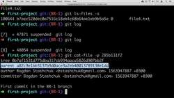 Complete Git Guide: Understand and Master Git and GitHub - Exploring Commit in the New Branch Instructional Video