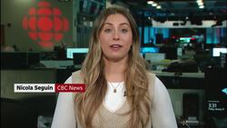 Ottawa's immigration cuts raise concern in Nova Scotia News Clip