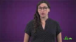 The Horrifying Truth About Swimmer's Itch Instructional Video