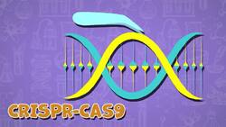 I WONDER - What Is Genetic Engineering? Instructional Video