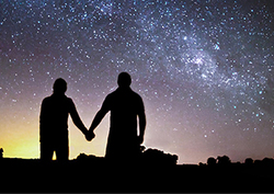 Prehistoric night Instructional Video