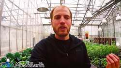 How We Make MinuteEarth Videos (Behind the Scenes) Instructional Video