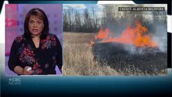 Starting fires to prevent fires News Clip
