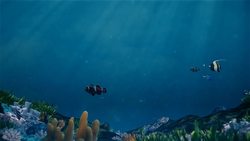 Ecuador detects Chinese fishing boat flotilla in seas near Galapagos Islands Instructional Video