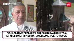 'Hamas-style Attack After Asim Munir...': Ex-J&K DGP Tells India To Retaliate Like Israel | Pahalgam News Clip